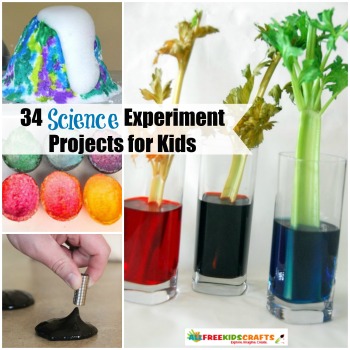 34 Science Experiment Projects for Kids | AllFreeKidsCrafts.com